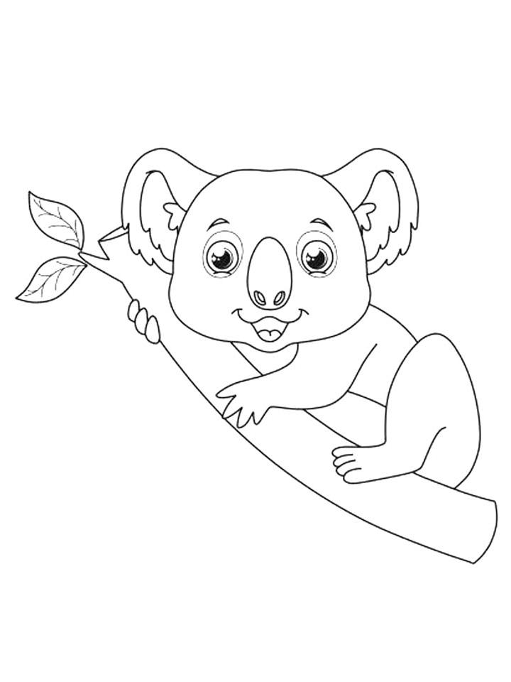 Раскраска Коала Раскраска Коала