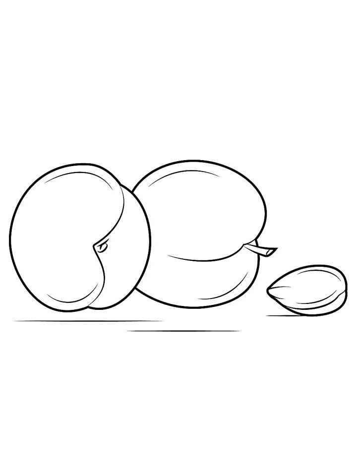 Раскраска Абрикос Раскраска Абрикос