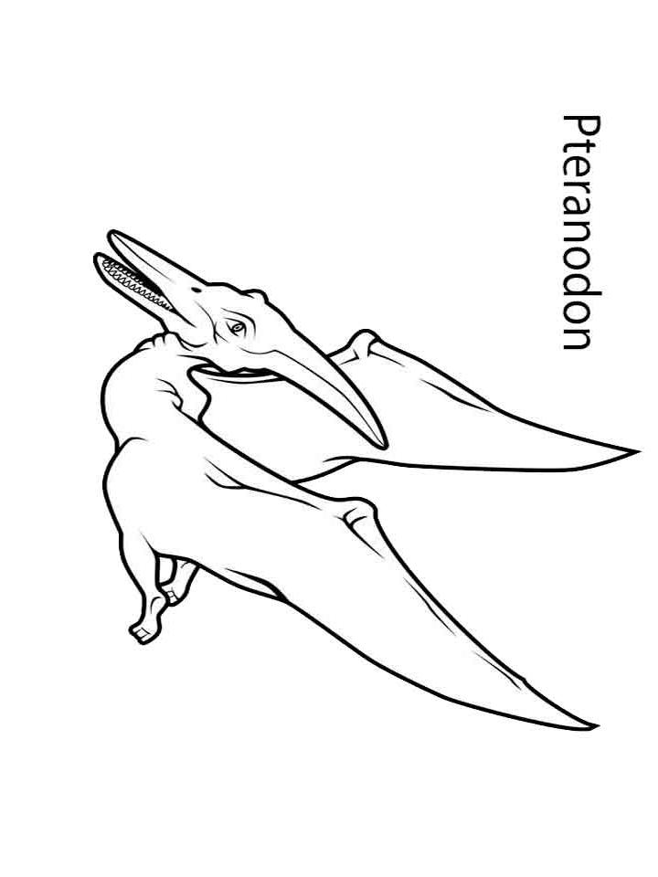 Раскраска Динозавры (Dinisaurs) Раскраска Динозавры (Dinisaurs)