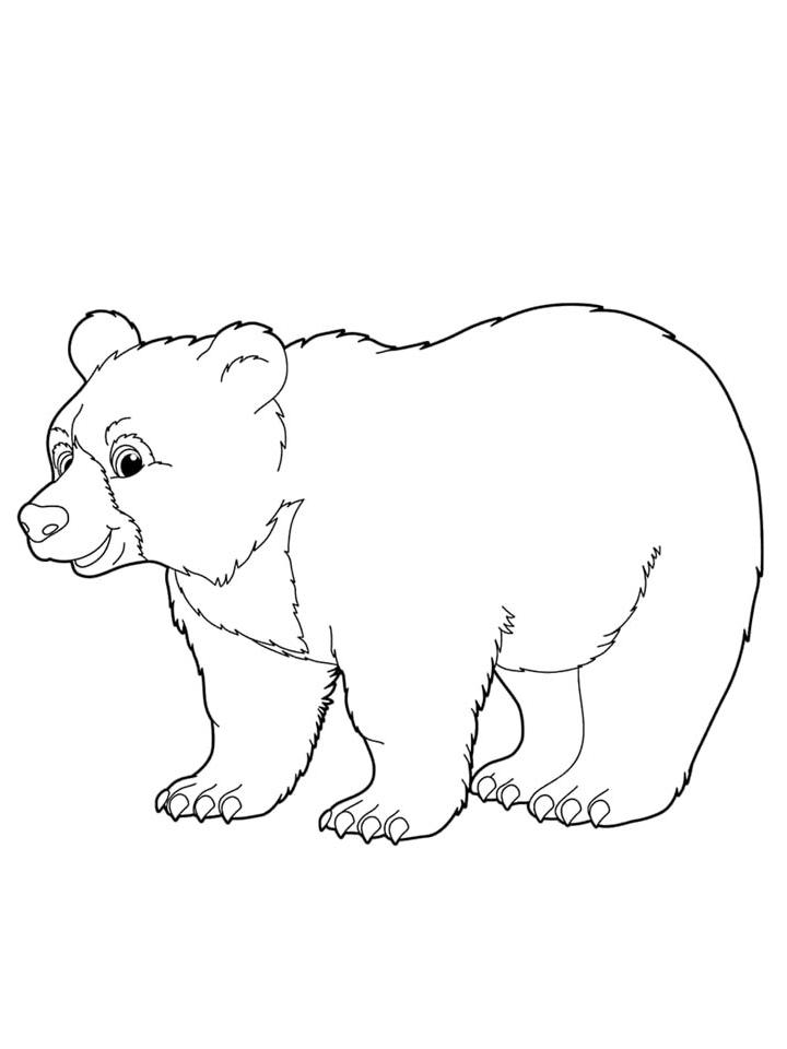 Раскраска Зверей