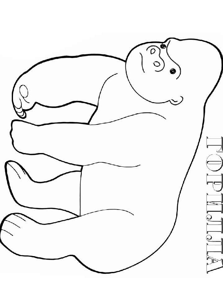 Раскраска Горилла Раскраска Горилла