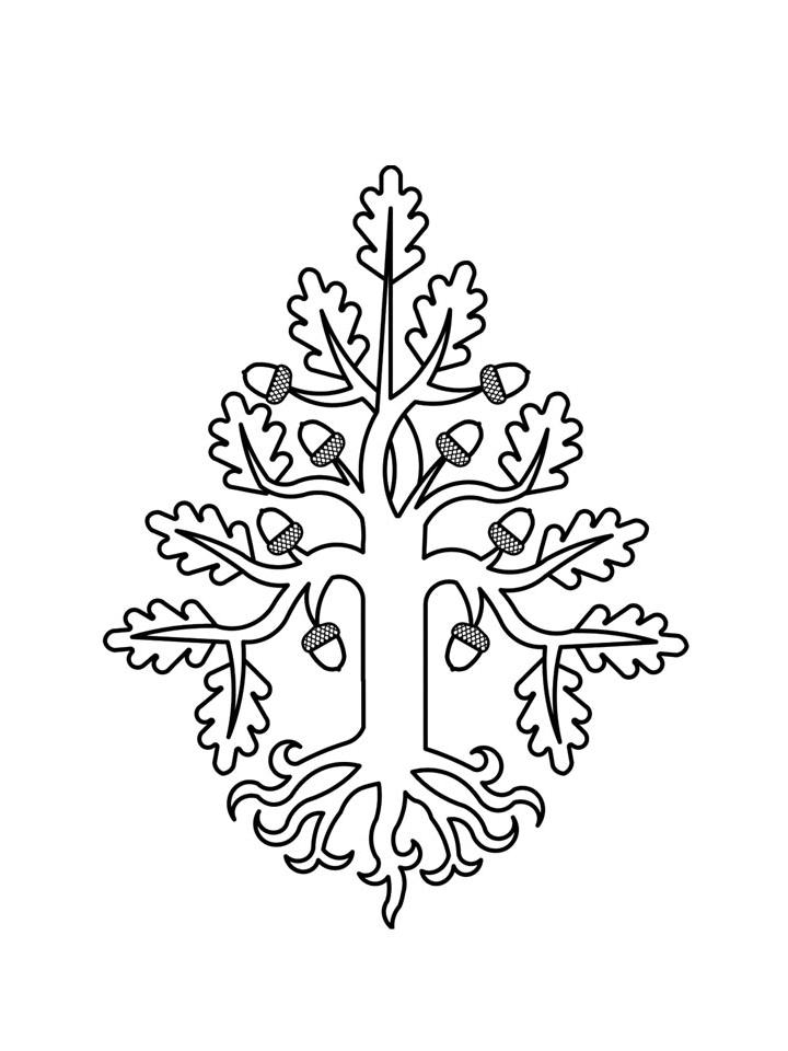 Раскраска Дуб