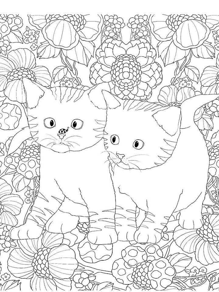 Раскраска Кототерапия Раскраска Кототерапия