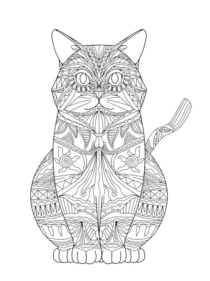 Раскраска Кототерапия