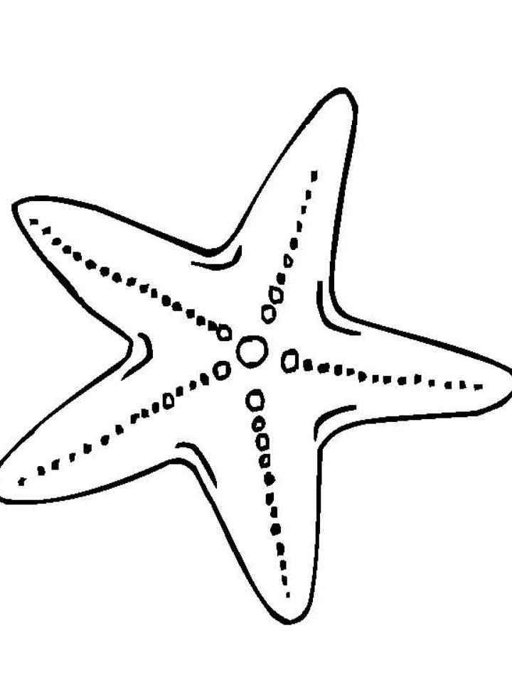 Раскраска Морская звезда Раскраска Морская звезда